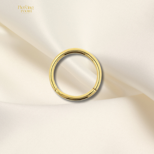 Chirurgisch stalen click ring met scharniersluiting, goud, 6 mm diameter. Strak en tijdloos design.